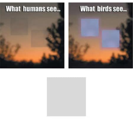 Window Alert Square Decal help prevent wild birds from accidentaly striking windows WINDA8